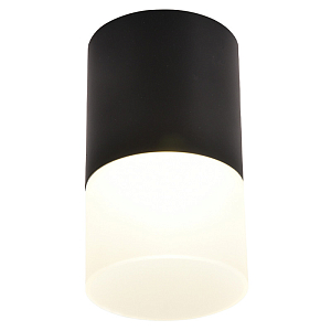 Накладной спот черного цвета Sydney