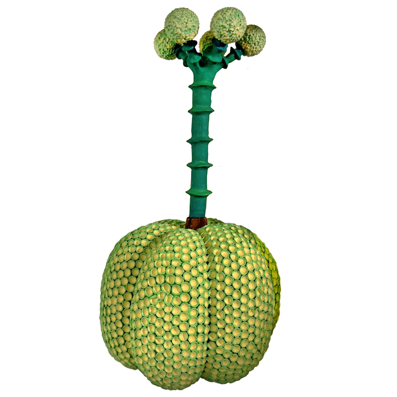 Статуэтка Зеленый тропический фрукт Pandora Tropical Light Green 69 Салатовый Мульти в Краснодаре | Loft Concept 