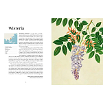 Прекрасно иллюстрированная книга более 100 ботанических произведений Plant Hunters Atlas варинант исполнения - 4 | Loft Concept в Краснодаре