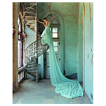 Редкое коллекционное издание Tim Walker Pictures 2016 варинант исполнения - 1 | Loft Concept в Краснодаре
