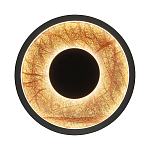 Бра круглое Gold Sun Lighting  варинант исполнения - 1 | Loft Concept в Краснодаре