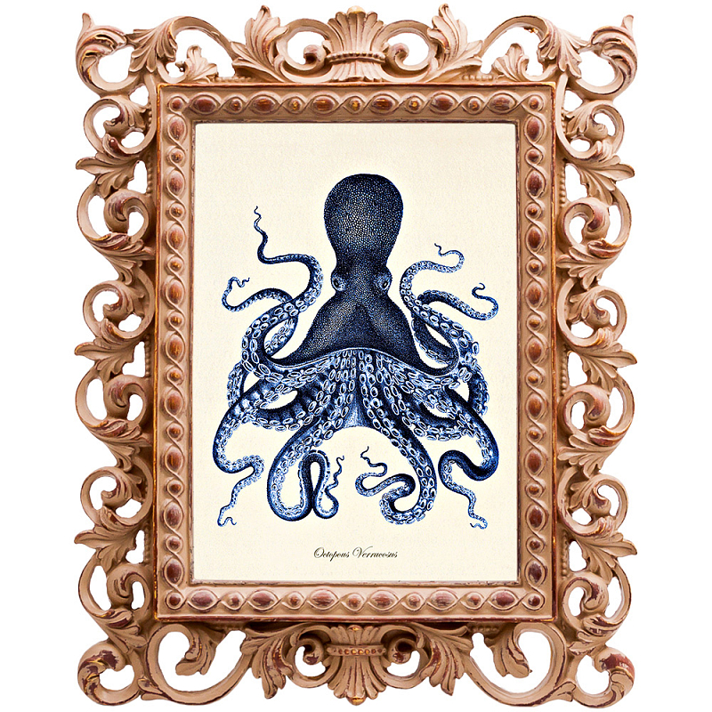 Постер Blue Octopus Poster Бежевый Морская синь в Краснодаре | Loft Concept 