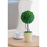 Декоративный искусственное растение Single boxwood варинант исполнения - 5 | Loft Concept в Краснодаре