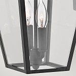 Настенный фонарь черного цвета с прозрачным стеклянным плафоном трапециевидной формы Hinkley варинант исполнения - 4 | Loft Concept в Краснодаре